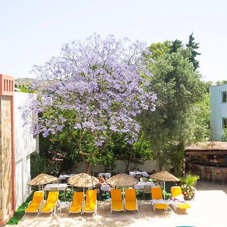 Kriss Hotel Bodrum Extérieur photo